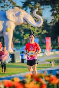 BIB: 
                            <button type="button" onclick="openModal(26183809)" class="btn btn-primary btn-sm float-right btn-popup" data-toggle="modal" data-target=".modal-high-quality">
                        <i class="fas fa-shopping-cart"></i> Add to Cart
                    </button>
                                            <button type="button" onclick="isThisMe(26183809, true)" class="btn btn-success btn-sm float-right btn-popup btn-isme hidden" data-toggle="tooltip" data-placement="bottom" title="นี่คือรูปของคุณใช่ไหม คลิกที่นี่เพื่อเอาเข้าอัลบั้ม">
                        <i class="fas fa-plus"></i> Add to album
                    </button>
                    <button type="button" onclick="isThisMe(26183809, false)" class="btn btn-warning btn-sm float-right btn-popup btn-isnotme hidden">
                        <i class="fas fa-ban"></i> Remove from album
                    </button>