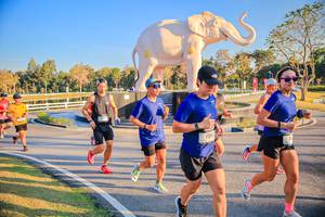 BIB: 
                            <button type="button" onclick="openModal(26186516)" class="btn btn-primary btn-sm float-right btn-popup" data-toggle="modal" data-target=".modal-high-quality">
                        <i class="fas fa-shopping-cart"></i> Add to Cart
                    </button>
                                            <button type="button" onclick="isThisMe(26186516, true)" class="btn btn-success btn-sm float-right btn-popup btn-isme hidden" data-toggle="tooltip" data-placement="bottom" title="นี่คือรูปของคุณใช่ไหม คลิกที่นี่เพื่อเอาเข้าอัลบั้ม">
                        <i class="fas fa-plus"></i> Add to album
                    </button>
                    <button type="button" onclick="isThisMe(26186516, false)" class="btn btn-warning btn-sm float-right btn-popup btn-isnotme hidden">
                        <i class="fas fa-ban"></i> Remove from album
                    </button>