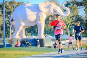 BIB: 
                            <button type="button" onclick="openModal(26183401)" class="btn btn-primary btn-sm float-right btn-popup" data-toggle="modal" data-target=".modal-high-quality">
                        <i class="fas fa-shopping-cart"></i> Add to Cart
                    </button>
                                            <button type="button" onclick="isThisMe(26183401, true)" class="btn btn-success btn-sm float-right btn-popup btn-isme hidden" data-toggle="tooltip" data-placement="bottom" title="นี่คือรูปของคุณใช่ไหม คลิกที่นี่เพื่อเอาเข้าอัลบั้ม">
                        <i class="fas fa-plus"></i> Add to album
                    </button>
                    <button type="button" onclick="isThisMe(26183401, false)" class="btn btn-warning btn-sm float-right btn-popup btn-isnotme hidden">
                        <i class="fas fa-ban"></i> Remove from album
                    </button>