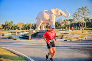 BIB: 
                            <button type="button" onclick="openModal(26186663)" class="btn btn-primary btn-sm float-right btn-popup" data-toggle="modal" data-target=".modal-high-quality">
                        <i class="fas fa-shopping-cart"></i> Add to Cart
                    </button>
                                            <button type="button" onclick="isThisMe(26186663, true)" class="btn btn-success btn-sm float-right btn-popup btn-isme hidden" data-toggle="tooltip" data-placement="bottom" title="นี่คือรูปของคุณใช่ไหม คลิกที่นี่เพื่อเอาเข้าอัลบั้ม">
                        <i class="fas fa-plus"></i> Add to album
                    </button>
                    <button type="button" onclick="isThisMe(26186663, false)" class="btn btn-warning btn-sm float-right btn-popup btn-isnotme hidden">
                        <i class="fas fa-ban"></i> Remove from album
                    </button>