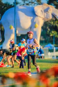 BIB: 
                            <button type="button" onclick="openModal(26183935)" class="btn btn-primary btn-sm float-right btn-popup" data-toggle="modal" data-target=".modal-high-quality">
                        <i class="fas fa-shopping-cart"></i> Add to Cart
                    </button>
                                            <button type="button" onclick="isThisMe(26183935, true)" class="btn btn-success btn-sm float-right btn-popup btn-isme hidden" data-toggle="tooltip" data-placement="bottom" title="นี่คือรูปของคุณใช่ไหม คลิกที่นี่เพื่อเอาเข้าอัลบั้ม">
                        <i class="fas fa-plus"></i> Add to album
                    </button>
                    <button type="button" onclick="isThisMe(26183935, false)" class="btn btn-warning btn-sm float-right btn-popup btn-isnotme hidden">
                        <i class="fas fa-ban"></i> Remove from album
                    </button>