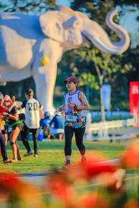 BIB: 
                            <button type="button" onclick="openModal(26183932)" class="btn btn-primary btn-sm float-right btn-popup" data-toggle="modal" data-target=".modal-high-quality">
                        <i class="fas fa-shopping-cart"></i> Add to Cart
                    </button>
                                            <button type="button" onclick="isThisMe(26183932, true)" class="btn btn-success btn-sm float-right btn-popup btn-isme hidden" data-toggle="tooltip" data-placement="bottom" title="นี่คือรูปของคุณใช่ไหม คลิกที่นี่เพื่อเอาเข้าอัลบั้ม">
                        <i class="fas fa-plus"></i> Add to album
                    </button>
                    <button type="button" onclick="isThisMe(26183932, false)" class="btn btn-warning btn-sm float-right btn-popup btn-isnotme hidden">
                        <i class="fas fa-ban"></i> Remove from album
                    </button>