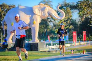 BIB: 
                            <button type="button" onclick="openModal(26183761)" class="btn btn-primary btn-sm float-right btn-popup" data-toggle="modal" data-target=".modal-high-quality">
                        <i class="fas fa-shopping-cart"></i> Add to Cart
                    </button>
                                            <button type="button" onclick="isThisMe(26183761, true)" class="btn btn-success btn-sm float-right btn-popup btn-isme hidden" data-toggle="tooltip" data-placement="bottom" title="นี่คือรูปของคุณใช่ไหม คลิกที่นี่เพื่อเอาเข้าอัลบั้ม">
                        <i class="fas fa-plus"></i> Add to album
                    </button>
                    <button type="button" onclick="isThisMe(26183761, false)" class="btn btn-warning btn-sm float-right btn-popup btn-isnotme hidden">
                        <i class="fas fa-ban"></i> Remove from album
                    </button>