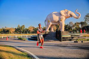 BIB: 
                            <button type="button" onclick="openModal(26186413)" class="btn btn-primary btn-sm float-right btn-popup" data-toggle="modal" data-target=".modal-high-quality">
                        <i class="fas fa-shopping-cart"></i> Add to Cart
                    </button>
                                            <button type="button" onclick="isThisMe(26186413, true)" class="btn btn-success btn-sm float-right btn-popup btn-isme hidden" data-toggle="tooltip" data-placement="bottom" title="นี่คือรูปของคุณใช่ไหม คลิกที่นี่เพื่อเอาเข้าอัลบั้ม">
                        <i class="fas fa-plus"></i> Add to album
                    </button>
                    <button type="button" onclick="isThisMe(26186413, false)" class="btn btn-warning btn-sm float-right btn-popup btn-isnotme hidden">
                        <i class="fas fa-ban"></i> Remove from album
                    </button>