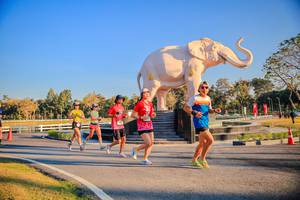 BIB: 
                            <button type="button" onclick="openModal(26186467)" class="btn btn-primary btn-sm float-right btn-popup" data-toggle="modal" data-target=".modal-high-quality">
                        <i class="fas fa-shopping-cart"></i> Add to Cart
                    </button>
                                            <button type="button" onclick="isThisMe(26186467, true)" class="btn btn-success btn-sm float-right btn-popup btn-isme hidden" data-toggle="tooltip" data-placement="bottom" title="นี่คือรูปของคุณใช่ไหม คลิกที่นี่เพื่อเอาเข้าอัลบั้ม">
                        <i class="fas fa-plus"></i> Add to album
                    </button>
                    <button type="button" onclick="isThisMe(26186467, false)" class="btn btn-warning btn-sm float-right btn-popup btn-isnotme hidden">
                        <i class="fas fa-ban"></i> Remove from album
                    </button>