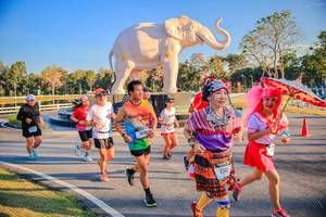 BIB: 
                            <button type="button" onclick="openModal(26186553)" class="btn btn-primary btn-sm float-right btn-popup" data-toggle="modal" data-target=".modal-high-quality">
                        <i class="fas fa-shopping-cart"></i> Add to Cart
                    </button>
                                            <button type="button" onclick="isThisMe(26186553, true)" class="btn btn-success btn-sm float-right btn-popup btn-isme hidden" data-toggle="tooltip" data-placement="bottom" title="นี่คือรูปของคุณใช่ไหม คลิกที่นี่เพื่อเอาเข้าอัลบั้ม">
                        <i class="fas fa-plus"></i> Add to album
                    </button>
                    <button type="button" onclick="isThisMe(26186553, false)" class="btn btn-warning btn-sm float-right btn-popup btn-isnotme hidden">
                        <i class="fas fa-ban"></i> Remove from album
                    </button>