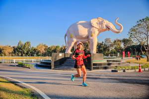 BIB: 
                            <button type="button" onclick="openModal(26186396)" class="btn btn-primary btn-sm float-right btn-popup" data-toggle="modal" data-target=".modal-high-quality">
                        <i class="fas fa-shopping-cart"></i> Add to Cart
                    </button>
                                            <button type="button" onclick="isThisMe(26186396, true)" class="btn btn-success btn-sm float-right btn-popup btn-isme hidden" data-toggle="tooltip" data-placement="bottom" title="นี่คือรูปของคุณใช่ไหม คลิกที่นี่เพื่อเอาเข้าอัลบั้ม">
                        <i class="fas fa-plus"></i> Add to album
                    </button>
                    <button type="button" onclick="isThisMe(26186396, false)" class="btn btn-warning btn-sm float-right btn-popup btn-isnotme hidden">
                        <i class="fas fa-ban"></i> Remove from album
                    </button>