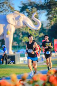 BIB: 
                            <button type="button" onclick="openModal(26183838)" class="btn btn-primary btn-sm float-right btn-popup" data-toggle="modal" data-target=".modal-high-quality">
                        <i class="fas fa-shopping-cart"></i> Add to Cart
                    </button>
                                            <button type="button" onclick="isThisMe(26183838, true)" class="btn btn-success btn-sm float-right btn-popup btn-isme hidden" data-toggle="tooltip" data-placement="bottom" title="นี่คือรูปของคุณใช่ไหม คลิกที่นี่เพื่อเอาเข้าอัลบั้ม">
                        <i class="fas fa-plus"></i> Add to album
                    </button>
                    <button type="button" onclick="isThisMe(26183838, false)" class="btn btn-warning btn-sm float-right btn-popup btn-isnotme hidden">
                        <i class="fas fa-ban"></i> Remove from album
                    </button>