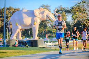 BIB: 
                            <button type="button" onclick="openModal(26183472)" class="btn btn-primary btn-sm float-right btn-popup" data-toggle="modal" data-target=".modal-high-quality">
                        <i class="fas fa-shopping-cart"></i> Add to Cart
                    </button>
                                            <button type="button" onclick="isThisMe(26183472, true)" class="btn btn-success btn-sm float-right btn-popup btn-isme hidden" data-toggle="tooltip" data-placement="bottom" title="นี่คือรูปของคุณใช่ไหม คลิกที่นี่เพื่อเอาเข้าอัลบั้ม">
                        <i class="fas fa-plus"></i> Add to album
                    </button>
                    <button type="button" onclick="isThisMe(26183472, false)" class="btn btn-warning btn-sm float-right btn-popup btn-isnotme hidden">
                        <i class="fas fa-ban"></i> Remove from album
                    </button>