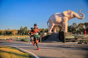 BIB: 
                            <button type="button" onclick="openModal(26186380)" class="btn btn-primary btn-sm float-right btn-popup" data-toggle="modal" data-target=".modal-high-quality">
                        <i class="fas fa-shopping-cart"></i> Add to Cart
                    </button>
                                            <button type="button" onclick="isThisMe(26186380, true)" class="btn btn-success btn-sm float-right btn-popup btn-isme hidden" data-toggle="tooltip" data-placement="bottom" title="นี่คือรูปของคุณใช่ไหม คลิกที่นี่เพื่อเอาเข้าอัลบั้ม">
                        <i class="fas fa-plus"></i> Add to album
                    </button>
                    <button type="button" onclick="isThisMe(26186380, false)" class="btn btn-warning btn-sm float-right btn-popup btn-isnotme hidden">
                        <i class="fas fa-ban"></i> Remove from album
                    </button>