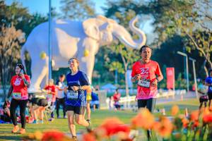 BIB: 
                            <button type="button" onclick="openModal(26184008)" class="btn btn-primary btn-sm float-right btn-popup" data-toggle="modal" data-target=".modal-high-quality">
                        <i class="fas fa-shopping-cart"></i> Add to Cart
                    </button>
                                            <button type="button" onclick="isThisMe(26184008, true)" class="btn btn-success btn-sm float-right btn-popup btn-isme hidden" data-toggle="tooltip" data-placement="bottom" title="นี่คือรูปของคุณใช่ไหม คลิกที่นี่เพื่อเอาเข้าอัลบั้ม">
                        <i class="fas fa-plus"></i> Add to album
                    </button>
                    <button type="button" onclick="isThisMe(26184008, false)" class="btn btn-warning btn-sm float-right btn-popup btn-isnotme hidden">
                        <i class="fas fa-ban"></i> Remove from album
                    </button>