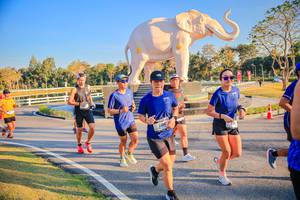 BIB: 
                            <button type="button" onclick="openModal(26186514)" class="btn btn-primary btn-sm float-right btn-popup" data-toggle="modal" data-target=".modal-high-quality">
                        <i class="fas fa-shopping-cart"></i> Add to Cart
                    </button>
                                            <button type="button" onclick="isThisMe(26186514, true)" class="btn btn-success btn-sm float-right btn-popup btn-isme hidden" data-toggle="tooltip" data-placement="bottom" title="นี่คือรูปของคุณใช่ไหม คลิกที่นี่เพื่อเอาเข้าอัลบั้ม">
                        <i class="fas fa-plus"></i> Add to album
                    </button>
                    <button type="button" onclick="isThisMe(26186514, false)" class="btn btn-warning btn-sm float-right btn-popup btn-isnotme hidden">
                        <i class="fas fa-ban"></i> Remove from album
                    </button>