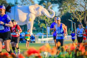 BIB: 
                            <button type="button" onclick="openModal(26184028)" class="btn btn-primary btn-sm float-right btn-popup" data-toggle="modal" data-target=".modal-high-quality">
                        <i class="fas fa-shopping-cart"></i> Add to Cart
                    </button>
                                            <button type="button" onclick="isThisMe(26184028, true)" class="btn btn-success btn-sm float-right btn-popup btn-isme hidden" data-toggle="tooltip" data-placement="bottom" title="นี่คือรูปของคุณใช่ไหม คลิกที่นี่เพื่อเอาเข้าอัลบั้ม">
                        <i class="fas fa-plus"></i> Add to album
                    </button>
                    <button type="button" onclick="isThisMe(26184028, false)" class="btn btn-warning btn-sm float-right btn-popup btn-isnotme hidden">
                        <i class="fas fa-ban"></i> Remove from album
                    </button>