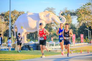 BIB: 
                            <button type="button" onclick="openModal(26183445)" class="btn btn-primary btn-sm float-right btn-popup" data-toggle="modal" data-target=".modal-high-quality">
                        <i class="fas fa-shopping-cart"></i> Add to Cart
                    </button>
                                            <button type="button" onclick="isThisMe(26183445, true)" class="btn btn-success btn-sm float-right btn-popup btn-isme hidden" data-toggle="tooltip" data-placement="bottom" title="นี่คือรูปของคุณใช่ไหม คลิกที่นี่เพื่อเอาเข้าอัลบั้ม">
                        <i class="fas fa-plus"></i> Add to album
                    </button>
                    <button type="button" onclick="isThisMe(26183445, false)" class="btn btn-warning btn-sm float-right btn-popup btn-isnotme hidden">
                        <i class="fas fa-ban"></i> Remove from album
                    </button>