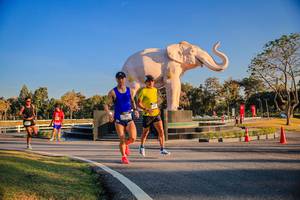 BIB: 
                            <button type="button" onclick="openModal(26186347)" class="btn btn-primary btn-sm float-right btn-popup" data-toggle="modal" data-target=".modal-high-quality">
                        <i class="fas fa-shopping-cart"></i> Add to Cart
                    </button>
                                            <button type="button" onclick="isThisMe(26186347, true)" class="btn btn-success btn-sm float-right btn-popup btn-isme hidden" data-toggle="tooltip" data-placement="bottom" title="นี่คือรูปของคุณใช่ไหม คลิกที่นี่เพื่อเอาเข้าอัลบั้ม">
                        <i class="fas fa-plus"></i> Add to album
                    </button>
                    <button type="button" onclick="isThisMe(26186347, false)" class="btn btn-warning btn-sm float-right btn-popup btn-isnotme hidden">
                        <i class="fas fa-ban"></i> Remove from album
                    </button>