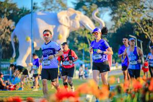 BIB: 
                            <button type="button" onclick="openModal(26184027)" class="btn btn-primary btn-sm float-right btn-popup" data-toggle="modal" data-target=".modal-high-quality">
                        <i class="fas fa-shopping-cart"></i> Add to Cart
                    </button>
                                            <button type="button" onclick="isThisMe(26184027, true)" class="btn btn-success btn-sm float-right btn-popup btn-isme hidden" data-toggle="tooltip" data-placement="bottom" title="นี่คือรูปของคุณใช่ไหม คลิกที่นี่เพื่อเอาเข้าอัลบั้ม">
                        <i class="fas fa-plus"></i> Add to album
                    </button>
                    <button type="button" onclick="isThisMe(26184027, false)" class="btn btn-warning btn-sm float-right btn-popup btn-isnotme hidden">
                        <i class="fas fa-ban"></i> Remove from album
                    </button>