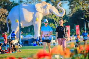 BIB: 
                            <button type="button" onclick="openModal(26183975)" class="btn btn-primary btn-sm float-right btn-popup" data-toggle="modal" data-target=".modal-high-quality">
                        <i class="fas fa-shopping-cart"></i> Add to Cart
                    </button>
                                            <button type="button" onclick="isThisMe(26183975, true)" class="btn btn-success btn-sm float-right btn-popup btn-isme hidden" data-toggle="tooltip" data-placement="bottom" title="นี่คือรูปของคุณใช่ไหม คลิกที่นี่เพื่อเอาเข้าอัลบั้ม">
                        <i class="fas fa-plus"></i> Add to album
                    </button>
                    <button type="button" onclick="isThisMe(26183975, false)" class="btn btn-warning btn-sm float-right btn-popup btn-isnotme hidden">
                        <i class="fas fa-ban"></i> Remove from album
                    </button>