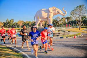 BIB: 
                            <button type="button" onclick="openModal(26186528)" class="btn btn-primary btn-sm float-right btn-popup" data-toggle="modal" data-target=".modal-high-quality">
                        <i class="fas fa-shopping-cart"></i> Add to Cart
                    </button>
                                            <button type="button" onclick="isThisMe(26186528, true)" class="btn btn-success btn-sm float-right btn-popup btn-isme hidden" data-toggle="tooltip" data-placement="bottom" title="นี่คือรูปของคุณใช่ไหม คลิกที่นี่เพื่อเอาเข้าอัลบั้ม">
                        <i class="fas fa-plus"></i> Add to album
                    </button>
                    <button type="button" onclick="isThisMe(26186528, false)" class="btn btn-warning btn-sm float-right btn-popup btn-isnotme hidden">
                        <i class="fas fa-ban"></i> Remove from album
                    </button>