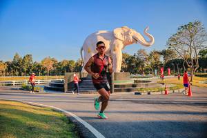 BIB: 
                            <button type="button" onclick="openModal(26186355)" class="btn btn-primary btn-sm float-right btn-popup" data-toggle="modal" data-target=".modal-high-quality">
                        <i class="fas fa-shopping-cart"></i> Add to Cart
                    </button>
                                            <button type="button" onclick="isThisMe(26186355, true)" class="btn btn-success btn-sm float-right btn-popup btn-isme hidden" data-toggle="tooltip" data-placement="bottom" title="นี่คือรูปของคุณใช่ไหม คลิกที่นี่เพื่อเอาเข้าอัลบั้ม">
                        <i class="fas fa-plus"></i> Add to album
                    </button>
                    <button type="button" onclick="isThisMe(26186355, false)" class="btn btn-warning btn-sm float-right btn-popup btn-isnotme hidden">
                        <i class="fas fa-ban"></i> Remove from album
                    </button>