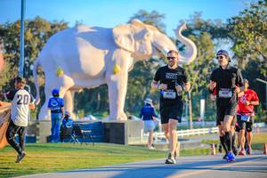 BIB: 
                            <button type="button" onclick="openModal(26183669)" class="btn btn-primary btn-sm float-right btn-popup" data-toggle="modal" data-target=".modal-high-quality">
                        <i class="fas fa-shopping-cart"></i> Add to Cart
                    </button>
                                            <button type="button" onclick="isThisMe(26183669, true)" class="btn btn-success btn-sm float-right btn-popup btn-isme hidden" data-toggle="tooltip" data-placement="bottom" title="นี่คือรูปของคุณใช่ไหม คลิกที่นี่เพื่อเอาเข้าอัลบั้ม">
                        <i class="fas fa-plus"></i> Add to album
                    </button>
                    <button type="button" onclick="isThisMe(26183669, false)" class="btn btn-warning btn-sm float-right btn-popup btn-isnotme hidden">
                        <i class="fas fa-ban"></i> Remove from album
                    </button>