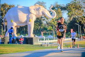 BIB: 
                            <button type="button" onclick="openModal(26183694)" class="btn btn-primary btn-sm float-right btn-popup" data-toggle="modal" data-target=".modal-high-quality">
                        <i class="fas fa-shopping-cart"></i> Add to Cart
                    </button>
                                            <button type="button" onclick="isThisMe(26183694, true)" class="btn btn-success btn-sm float-right btn-popup btn-isme hidden" data-toggle="tooltip" data-placement="bottom" title="นี่คือรูปของคุณใช่ไหม คลิกที่นี่เพื่อเอาเข้าอัลบั้ม">
                        <i class="fas fa-plus"></i> Add to album
                    </button>
                    <button type="button" onclick="isThisMe(26183694, false)" class="btn btn-warning btn-sm float-right btn-popup btn-isnotme hidden">
                        <i class="fas fa-ban"></i> Remove from album
                    </button>