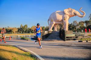 BIB: 
                            <button type="button" onclick="openModal(26186409)" class="btn btn-primary btn-sm float-right btn-popup" data-toggle="modal" data-target=".modal-high-quality">
                        <i class="fas fa-shopping-cart"></i> Add to Cart
                    </button>
                                            <button type="button" onclick="isThisMe(26186409, true)" class="btn btn-success btn-sm float-right btn-popup btn-isme hidden" data-toggle="tooltip" data-placement="bottom" title="นี่คือรูปของคุณใช่ไหม คลิกที่นี่เพื่อเอาเข้าอัลบั้ม">
                        <i class="fas fa-plus"></i> Add to album
                    </button>
                    <button type="button" onclick="isThisMe(26186409, false)" class="btn btn-warning btn-sm float-right btn-popup btn-isnotme hidden">
                        <i class="fas fa-ban"></i> Remove from album
                    </button>