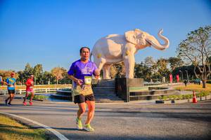 BIB: 
                            <button type="button" onclick="openModal(26186478)" class="btn btn-primary btn-sm float-right btn-popup" data-toggle="modal" data-target=".modal-high-quality">
                        <i class="fas fa-shopping-cart"></i> Add to Cart
                    </button>
                                            <button type="button" onclick="isThisMe(26186478, true)" class="btn btn-success btn-sm float-right btn-popup btn-isme hidden" data-toggle="tooltip" data-placement="bottom" title="นี่คือรูปของคุณใช่ไหม คลิกที่นี่เพื่อเอาเข้าอัลบั้ม">
                        <i class="fas fa-plus"></i> Add to album
                    </button>
                    <button type="button" onclick="isThisMe(26186478, false)" class="btn btn-warning btn-sm float-right btn-popup btn-isnotme hidden">
                        <i class="fas fa-ban"></i> Remove from album
                    </button>