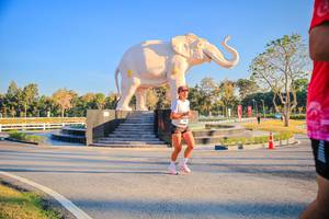 BIB: 
                            <button type="button" onclick="openModal(26186488)" class="btn btn-primary btn-sm float-right btn-popup" data-toggle="modal" data-target=".modal-high-quality">
                        <i class="fas fa-shopping-cart"></i> Add to Cart
                    </button>
                                            <button type="button" onclick="isThisMe(26186488, true)" class="btn btn-success btn-sm float-right btn-popup btn-isme hidden" data-toggle="tooltip" data-placement="bottom" title="นี่คือรูปของคุณใช่ไหม คลิกที่นี่เพื่อเอาเข้าอัลบั้ม">
                        <i class="fas fa-plus"></i> Add to album
                    </button>
                    <button type="button" onclick="isThisMe(26186488, false)" class="btn btn-warning btn-sm float-right btn-popup btn-isnotme hidden">
                        <i class="fas fa-ban"></i> Remove from album
                    </button>