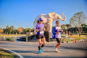 BIB: 
                            <button type="button" onclick="openModal(26186453)" class="btn btn-primary btn-sm float-right btn-popup" data-toggle="modal" data-target=".modal-high-quality">
                        <i class="fas fa-shopping-cart"></i> Add to Cart
                    </button>
                                            <button type="button" onclick="isThisMe(26186453, true)" class="btn btn-success btn-sm float-right btn-popup btn-isme hidden" data-toggle="tooltip" data-placement="bottom" title="นี่คือรูปของคุณใช่ไหม คลิกที่นี่เพื่อเอาเข้าอัลบั้ม">
                        <i class="fas fa-plus"></i> Add to album
                    </button>
                    <button type="button" onclick="isThisMe(26186453, false)" class="btn btn-warning btn-sm float-right btn-popup btn-isnotme hidden">
                        <i class="fas fa-ban"></i> Remove from album
                    </button>