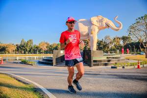 BIB: 
                            <button type="button" onclick="openModal(26186440)" class="btn btn-primary btn-sm float-right btn-popup" data-toggle="modal" data-target=".modal-high-quality">
                        <i class="fas fa-shopping-cart"></i> Add to Cart
                    </button>
                                            <button type="button" onclick="isThisMe(26186440, true)" class="btn btn-success btn-sm float-right btn-popup btn-isme hidden" data-toggle="tooltip" data-placement="bottom" title="นี่คือรูปของคุณใช่ไหม คลิกที่นี่เพื่อเอาเข้าอัลบั้ม">
                        <i class="fas fa-plus"></i> Add to album
                    </button>
                    <button type="button" onclick="isThisMe(26186440, false)" class="btn btn-warning btn-sm float-right btn-popup btn-isnotme hidden">
                        <i class="fas fa-ban"></i> Remove from album
                    </button>