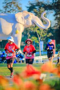 BIB: 
                            <button type="button" onclick="openModal(26183946)" class="btn btn-primary btn-sm float-right btn-popup" data-toggle="modal" data-target=".modal-high-quality">
                        <i class="fas fa-shopping-cart"></i> Add to Cart
                    </button>
                                            <button type="button" onclick="isThisMe(26183946, true)" class="btn btn-success btn-sm float-right btn-popup btn-isme hidden" data-toggle="tooltip" data-placement="bottom" title="นี่คือรูปของคุณใช่ไหม คลิกที่นี่เพื่อเอาเข้าอัลบั้ม">
                        <i class="fas fa-plus"></i> Add to album
                    </button>
                    <button type="button" onclick="isThisMe(26183946, false)" class="btn btn-warning btn-sm float-right btn-popup btn-isnotme hidden">
                        <i class="fas fa-ban"></i> Remove from album
                    </button>