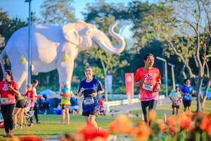 BIB: 
                            <button type="button" onclick="openModal(26184007)" class="btn btn-primary btn-sm float-right btn-popup" data-toggle="modal" data-target=".modal-high-quality">
                        <i class="fas fa-shopping-cart"></i> Add to Cart
                    </button>
                                            <button type="button" onclick="isThisMe(26184007, true)" class="btn btn-success btn-sm float-right btn-popup btn-isme hidden" data-toggle="tooltip" data-placement="bottom" title="นี่คือรูปของคุณใช่ไหม คลิกที่นี่เพื่อเอาเข้าอัลบั้ม">
                        <i class="fas fa-plus"></i> Add to album
                    </button>
                    <button type="button" onclick="isThisMe(26184007, false)" class="btn btn-warning btn-sm float-right btn-popup btn-isnotme hidden">
                        <i class="fas fa-ban"></i> Remove from album
                    </button>