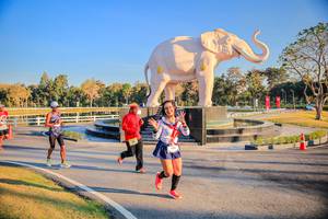 BIB: 
                            <button type="button" onclick="openModal(26186588)" class="btn btn-primary btn-sm float-right btn-popup" data-toggle="modal" data-target=".modal-high-quality">
                        <i class="fas fa-shopping-cart"></i> Add to Cart
                    </button>
                                            <button type="button" onclick="isThisMe(26186588, true)" class="btn btn-success btn-sm float-right btn-popup btn-isme hidden" data-toggle="tooltip" data-placement="bottom" title="นี่คือรูปของคุณใช่ไหม คลิกที่นี่เพื่อเอาเข้าอัลบั้ม">
                        <i class="fas fa-plus"></i> Add to album
                    </button>
                    <button type="button" onclick="isThisMe(26186588, false)" class="btn btn-warning btn-sm float-right btn-popup btn-isnotme hidden">
                        <i class="fas fa-ban"></i> Remove from album
                    </button>