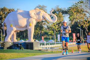 BIB: 
                            <button type="button" onclick="openModal(26183469)" class="btn btn-primary btn-sm float-right btn-popup" data-toggle="modal" data-target=".modal-high-quality">
                        <i class="fas fa-shopping-cart"></i> Add to Cart
                    </button>
                                            <button type="button" onclick="isThisMe(26183469, true)" class="btn btn-success btn-sm float-right btn-popup btn-isme hidden" data-toggle="tooltip" data-placement="bottom" title="นี่คือรูปของคุณใช่ไหม คลิกที่นี่เพื่อเอาเข้าอัลบั้ม">
                        <i class="fas fa-plus"></i> Add to album
                    </button>
                    <button type="button" onclick="isThisMe(26183469, false)" class="btn btn-warning btn-sm float-right btn-popup btn-isnotme hidden">
                        <i class="fas fa-ban"></i> Remove from album
                    </button>