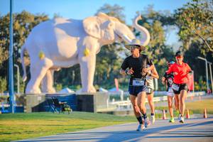 BIB: 
                            <button type="button" onclick="openModal(26183522)" class="btn btn-primary btn-sm float-right btn-popup" data-toggle="modal" data-target=".modal-high-quality">
                        <i class="fas fa-shopping-cart"></i> Add to Cart
                    </button>
                                            <button type="button" onclick="isThisMe(26183522, true)" class="btn btn-success btn-sm float-right btn-popup btn-isme hidden" data-toggle="tooltip" data-placement="bottom" title="นี่คือรูปของคุณใช่ไหม คลิกที่นี่เพื่อเอาเข้าอัลบั้ม">
                        <i class="fas fa-plus"></i> Add to album
                    </button>
                    <button type="button" onclick="isThisMe(26183522, false)" class="btn btn-warning btn-sm float-right btn-popup btn-isnotme hidden">
                        <i class="fas fa-ban"></i> Remove from album
                    </button>