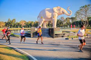 BIB: 
                            <button type="button" onclick="openModal(26186572)" class="btn btn-primary btn-sm float-right btn-popup" data-toggle="modal" data-target=".modal-high-quality">
                        <i class="fas fa-shopping-cart"></i> Add to Cart
                    </button>
                                            <button type="button" onclick="isThisMe(26186572, true)" class="btn btn-success btn-sm float-right btn-popup btn-isme hidden" data-toggle="tooltip" data-placement="bottom" title="นี่คือรูปของคุณใช่ไหม คลิกที่นี่เพื่อเอาเข้าอัลบั้ม">
                        <i class="fas fa-plus"></i> Add to album
                    </button>
                    <button type="button" onclick="isThisMe(26186572, false)" class="btn btn-warning btn-sm float-right btn-popup btn-isnotme hidden">
                        <i class="fas fa-ban"></i> Remove from album
                    </button>