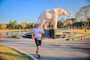 BIB: 
                            <button type="button" onclick="openModal(26186653)" class="btn btn-primary btn-sm float-right btn-popup" data-toggle="modal" data-target=".modal-high-quality">
                        <i class="fas fa-shopping-cart"></i> Add to Cart
                    </button>
                                            <button type="button" onclick="isThisMe(26186653, true)" class="btn btn-success btn-sm float-right btn-popup btn-isme hidden" data-toggle="tooltip" data-placement="bottom" title="นี่คือรูปของคุณใช่ไหม คลิกที่นี่เพื่อเอาเข้าอัลบั้ม">
                        <i class="fas fa-plus"></i> Add to album
                    </button>
                    <button type="button" onclick="isThisMe(26186653, false)" class="btn btn-warning btn-sm float-right btn-popup btn-isnotme hidden">
                        <i class="fas fa-ban"></i> Remove from album
                    </button>