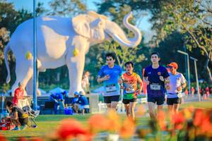 BIB: 
                            <button type="button" onclick="openModal(26183977)" class="btn btn-primary btn-sm float-right btn-popup" data-toggle="modal" data-target=".modal-high-quality">
                        <i class="fas fa-shopping-cart"></i> Add to Cart
                    </button>
                                            <button type="button" onclick="isThisMe(26183977, true)" class="btn btn-success btn-sm float-right btn-popup btn-isme hidden" data-toggle="tooltip" data-placement="bottom" title="นี่คือรูปของคุณใช่ไหม คลิกที่นี่เพื่อเอาเข้าอัลบั้ม">
                        <i class="fas fa-plus"></i> Add to album
                    </button>
                    <button type="button" onclick="isThisMe(26183977, false)" class="btn btn-warning btn-sm float-right btn-popup btn-isnotme hidden">
                        <i class="fas fa-ban"></i> Remove from album
                    </button>