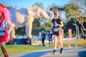 BIB: 
                            <button type="button" onclick="openModal(26183726)" class="btn btn-primary btn-sm float-right btn-popup" data-toggle="modal" data-target=".modal-high-quality">
                        <i class="fas fa-shopping-cart"></i> Add to Cart
                    </button>
                                            <button type="button" onclick="isThisMe(26183726, true)" class="btn btn-success btn-sm float-right btn-popup btn-isme hidden" data-toggle="tooltip" data-placement="bottom" title="นี่คือรูปของคุณใช่ไหม คลิกที่นี่เพื่อเอาเข้าอัลบั้ม">
                        <i class="fas fa-plus"></i> Add to album
                    </button>
                    <button type="button" onclick="isThisMe(26183726, false)" class="btn btn-warning btn-sm float-right btn-popup btn-isnotme hidden">
                        <i class="fas fa-ban"></i> Remove from album
                    </button>