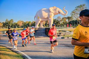 BIB: 
                            <button type="button" onclick="openModal(26186527)" class="btn btn-primary btn-sm float-right btn-popup" data-toggle="modal" data-target=".modal-high-quality">
                        <i class="fas fa-shopping-cart"></i> Add to Cart
                    </button>
                                            <button type="button" onclick="isThisMe(26186527, true)" class="btn btn-success btn-sm float-right btn-popup btn-isme hidden" data-toggle="tooltip" data-placement="bottom" title="นี่คือรูปของคุณใช่ไหม คลิกที่นี่เพื่อเอาเข้าอัลบั้ม">
                        <i class="fas fa-plus"></i> Add to album
                    </button>
                    <button type="button" onclick="isThisMe(26186527, false)" class="btn btn-warning btn-sm float-right btn-popup btn-isnotme hidden">
                        <i class="fas fa-ban"></i> Remove from album
                    </button>