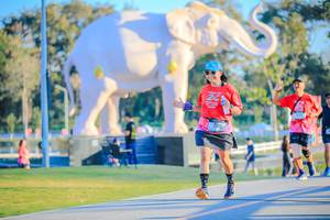 BIB: 
                            <button type="button" onclick="openModal(26183396)" class="btn btn-primary btn-sm float-right btn-popup" data-toggle="modal" data-target=".modal-high-quality">
                        <i class="fas fa-shopping-cart"></i> Add to Cart
                    </button>
                                            <button type="button" onclick="isThisMe(26183396, true)" class="btn btn-success btn-sm float-right btn-popup btn-isme hidden" data-toggle="tooltip" data-placement="bottom" title="นี่คือรูปของคุณใช่ไหม คลิกที่นี่เพื่อเอาเข้าอัลบั้ม">
                        <i class="fas fa-plus"></i> Add to album
                    </button>
                    <button type="button" onclick="isThisMe(26183396, false)" class="btn btn-warning btn-sm float-right btn-popup btn-isnotme hidden">
                        <i class="fas fa-ban"></i> Remove from album
                    </button>