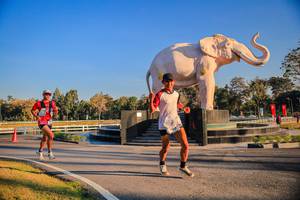 BIB: 
                            <button type="button" onclick="openModal(26186378)" class="btn btn-primary btn-sm float-right btn-popup" data-toggle="modal" data-target=".modal-high-quality">
                        <i class="fas fa-shopping-cart"></i> Add to Cart
                    </button>
                                            <button type="button" onclick="isThisMe(26186378, true)" class="btn btn-success btn-sm float-right btn-popup btn-isme hidden" data-toggle="tooltip" data-placement="bottom" title="นี่คือรูปของคุณใช่ไหม คลิกที่นี่เพื่อเอาเข้าอัลบั้ม">
                        <i class="fas fa-plus"></i> Add to album
                    </button>
                    <button type="button" onclick="isThisMe(26186378, false)" class="btn btn-warning btn-sm float-right btn-popup btn-isnotme hidden">
                        <i class="fas fa-ban"></i> Remove from album
                    </button>