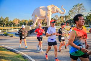 BIB: 
                            <button type="button" onclick="openModal(26186556)" class="btn btn-primary btn-sm float-right btn-popup" data-toggle="modal" data-target=".modal-high-quality">
                        <i class="fas fa-shopping-cart"></i> Add to Cart
                    </button>
                                            <button type="button" onclick="isThisMe(26186556, true)" class="btn btn-success btn-sm float-right btn-popup btn-isme hidden" data-toggle="tooltip" data-placement="bottom" title="นี่คือรูปของคุณใช่ไหม คลิกที่นี่เพื่อเอาเข้าอัลบั้ม">
                        <i class="fas fa-plus"></i> Add to album
                    </button>
                    <button type="button" onclick="isThisMe(26186556, false)" class="btn btn-warning btn-sm float-right btn-popup btn-isnotme hidden">
                        <i class="fas fa-ban"></i> Remove from album
                    </button>