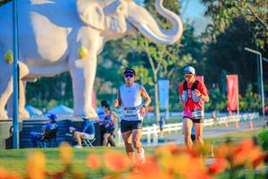 BIB: 
                            <button type="button" onclick="openModal(26183795)" class="btn btn-primary btn-sm float-right btn-popup" data-toggle="modal" data-target=".modal-high-quality">
                        <i class="fas fa-shopping-cart"></i> Add to Cart
                    </button>
                                            <button type="button" onclick="isThisMe(26183795, true)" class="btn btn-success btn-sm float-right btn-popup btn-isme hidden" data-toggle="tooltip" data-placement="bottom" title="นี่คือรูปของคุณใช่ไหม คลิกที่นี่เพื่อเอาเข้าอัลบั้ม">
                        <i class="fas fa-plus"></i> Add to album
                    </button>
                    <button type="button" onclick="isThisMe(26183795, false)" class="btn btn-warning btn-sm float-right btn-popup btn-isnotme hidden">
                        <i class="fas fa-ban"></i> Remove from album
                    </button>