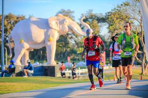 BIB: 
                            <button type="button" onclick="openModal(26183775)" class="btn btn-primary btn-sm float-right btn-popup" data-toggle="modal" data-target=".modal-high-quality">
                        <i class="fas fa-shopping-cart"></i> Add to Cart
                    </button>
                                            <button type="button" onclick="isThisMe(26183775, true)" class="btn btn-success btn-sm float-right btn-popup btn-isme hidden" data-toggle="tooltip" data-placement="bottom" title="นี่คือรูปของคุณใช่ไหม คลิกที่นี่เพื่อเอาเข้าอัลบั้ม">
                        <i class="fas fa-plus"></i> Add to album
                    </button>
                    <button type="button" onclick="isThisMe(26183775, false)" class="btn btn-warning btn-sm float-right btn-popup btn-isnotme hidden">
                        <i class="fas fa-ban"></i> Remove from album
                    </button>