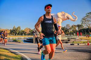 BIB: 
                            <button type="button" onclick="openModal(26186402)" class="btn btn-primary btn-sm float-right btn-popup" data-toggle="modal" data-target=".modal-high-quality">
                        <i class="fas fa-shopping-cart"></i> Add to Cart
                    </button>
                                            <button type="button" onclick="isThisMe(26186402, true)" class="btn btn-success btn-sm float-right btn-popup btn-isme hidden" data-toggle="tooltip" data-placement="bottom" title="นี่คือรูปของคุณใช่ไหม คลิกที่นี่เพื่อเอาเข้าอัลบั้ม">
                        <i class="fas fa-plus"></i> Add to album
                    </button>
                    <button type="button" onclick="isThisMe(26186402, false)" class="btn btn-warning btn-sm float-right btn-popup btn-isnotme hidden">
                        <i class="fas fa-ban"></i> Remove from album
                    </button>