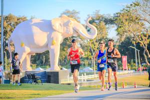 BIB: 
                            <button type="button" onclick="openModal(26183443)" class="btn btn-primary btn-sm float-right btn-popup" data-toggle="modal" data-target=".modal-high-quality">
                        <i class="fas fa-shopping-cart"></i> Add to Cart
                    </button>
                                            <button type="button" onclick="isThisMe(26183443, true)" class="btn btn-success btn-sm float-right btn-popup btn-isme hidden" data-toggle="tooltip" data-placement="bottom" title="นี่คือรูปของคุณใช่ไหม คลิกที่นี่เพื่อเอาเข้าอัลบั้ม">
                        <i class="fas fa-plus"></i> Add to album
                    </button>
                    <button type="button" onclick="isThisMe(26183443, false)" class="btn btn-warning btn-sm float-right btn-popup btn-isnotme hidden">
                        <i class="fas fa-ban"></i> Remove from album
                    </button>