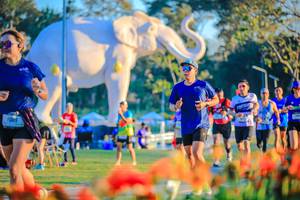 BIB: 
                            <button type="button" onclick="openModal(26184021)" class="btn btn-primary btn-sm float-right btn-popup" data-toggle="modal" data-target=".modal-high-quality">
                        <i class="fas fa-shopping-cart"></i> Add to Cart
                    </button>
                                            <button type="button" onclick="isThisMe(26184021, true)" class="btn btn-success btn-sm float-right btn-popup btn-isme hidden" data-toggle="tooltip" data-placement="bottom" title="นี่คือรูปของคุณใช่ไหม คลิกที่นี่เพื่อเอาเข้าอัลบั้ม">
                        <i class="fas fa-plus"></i> Add to album
                    </button>
                    <button type="button" onclick="isThisMe(26184021, false)" class="btn btn-warning btn-sm float-right btn-popup btn-isnotme hidden">
                        <i class="fas fa-ban"></i> Remove from album
                    </button>