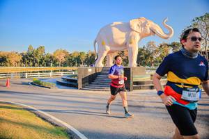 BIB: 
                            <button type="button" onclick="openModal(26186605)" class="btn btn-primary btn-sm float-right btn-popup" data-toggle="modal" data-target=".modal-high-quality">
                        <i class="fas fa-shopping-cart"></i> Add to Cart
                    </button>
                                            <button type="button" onclick="isThisMe(26186605, true)" class="btn btn-success btn-sm float-right btn-popup btn-isme hidden" data-toggle="tooltip" data-placement="bottom" title="นี่คือรูปของคุณใช่ไหม คลิกที่นี่เพื่อเอาเข้าอัลบั้ม">
                        <i class="fas fa-plus"></i> Add to album
                    </button>
                    <button type="button" onclick="isThisMe(26186605, false)" class="btn btn-warning btn-sm float-right btn-popup btn-isnotme hidden">
                        <i class="fas fa-ban"></i> Remove from album
                    </button>