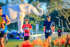 BIB: 
                            <button type="button" onclick="openModal(26183990)" class="btn btn-primary btn-sm float-right btn-popup" data-toggle="modal" data-target=".modal-high-quality">
                        <i class="fas fa-shopping-cart"></i> Add to Cart
                    </button>
                                            <button type="button" onclick="isThisMe(26183990, true)" class="btn btn-success btn-sm float-right btn-popup btn-isme hidden" data-toggle="tooltip" data-placement="bottom" title="นี่คือรูปของคุณใช่ไหม คลิกที่นี่เพื่อเอาเข้าอัลบั้ม">
                        <i class="fas fa-plus"></i> Add to album
                    </button>
                    <button type="button" onclick="isThisMe(26183990, false)" class="btn btn-warning btn-sm float-right btn-popup btn-isnotme hidden">
                        <i class="fas fa-ban"></i> Remove from album
                    </button>